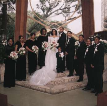 The Wedding Party